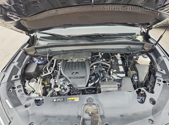 5TDAAAA69SS017213 2025 LEXUS TX Blue VIN კოდის სტიკერის ხედი