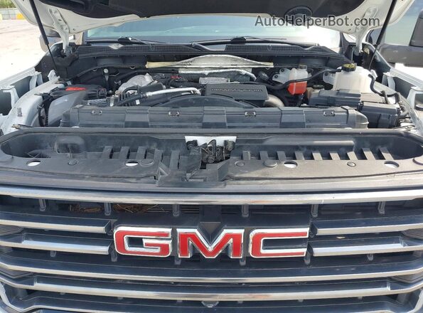 1GT49PEY8LF255317 2020 GMC SIERRA White Widok wnętrza z tyłu
