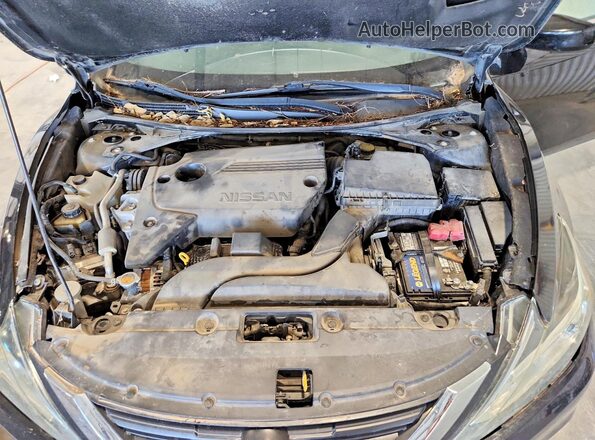 1N4AL3AP2HC275667 2017 NISSAN ALTIMA Black Շարժիչի բաժամունքի տեսք