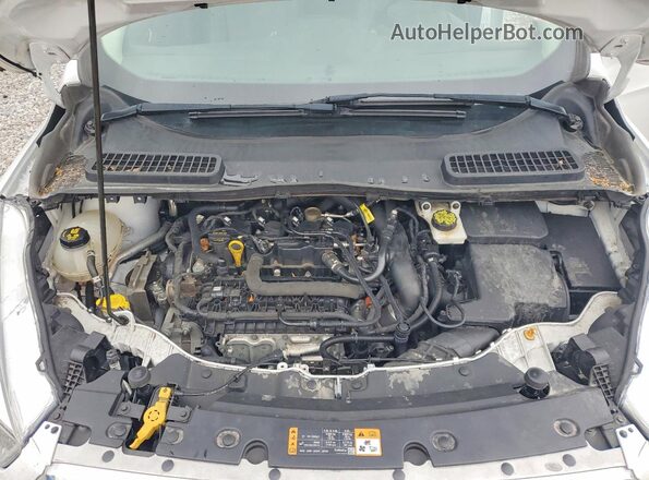 1FMCU9GD5KUB81330 2019 FORD ESCAPE White VIN կոդի պիտակի տեսք