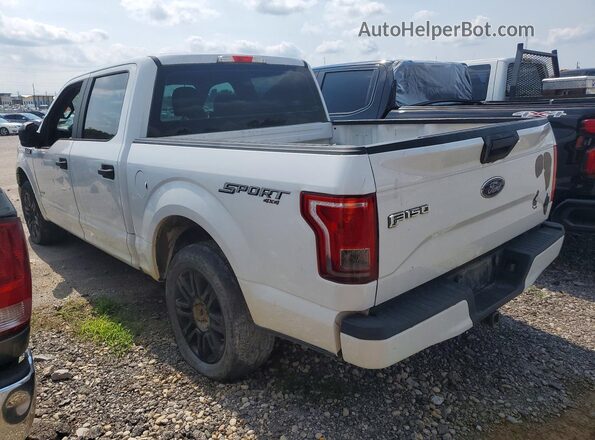 1FTEW1EG4GFB04045 2016 FORD F150 White Tył prawy