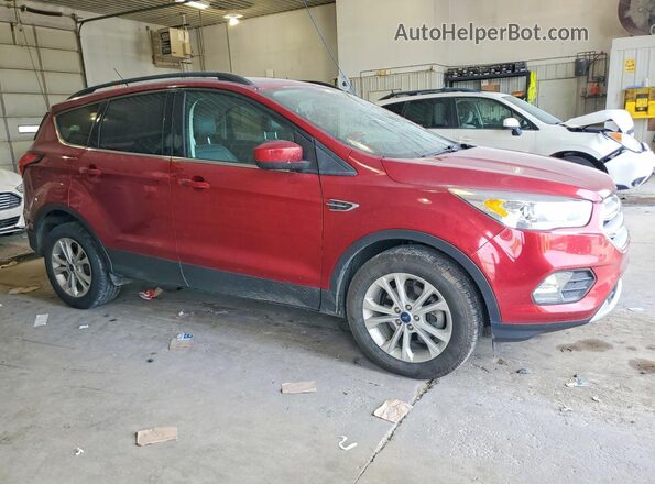 1FMCU0HD3KUA50620 2019 FORD ESCAPE Красный Вид спереди