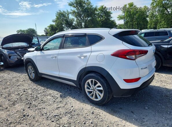 KM8J3CA42HU324615 2017 HYUNDAI TUCSON Белый Задняя правая четверть