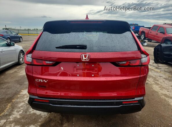 7FARS3H70PE011858 2023 HONDA CR-V Red Հետևի տեսք