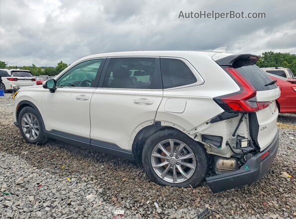 7FARS3H73SE008509 2025 HONDA CR-V White უკანა მარცხენა
