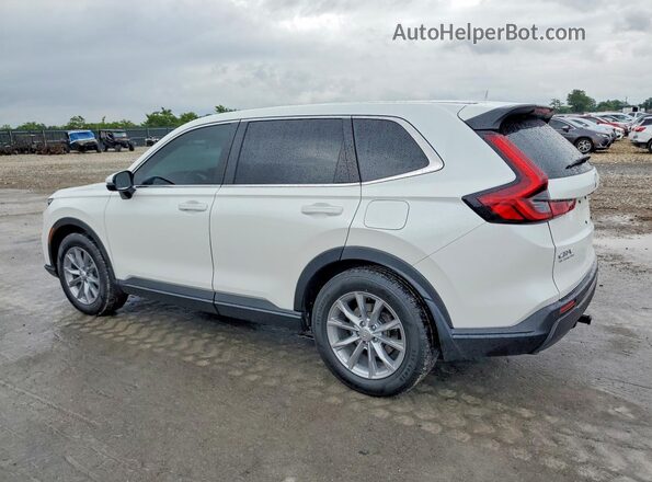 7FARS4H71SE016551 2025 HONDA CR-V White Հետևի ձախ