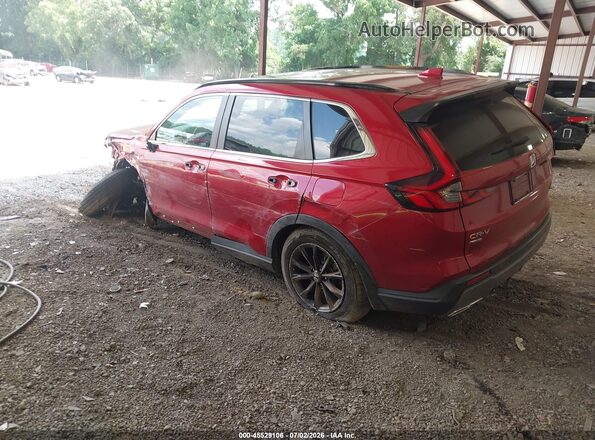 7FARS5H58RE029442 2024 HONDA CR-V Red Задня ліва чверть