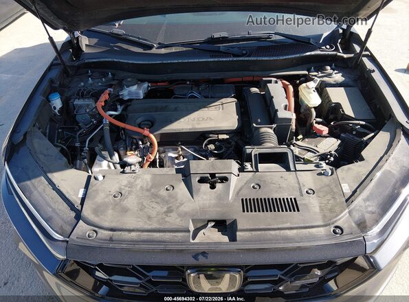 7FARS5H8XRE025242 2024 HONDA CR-V Gray Вид ззаду