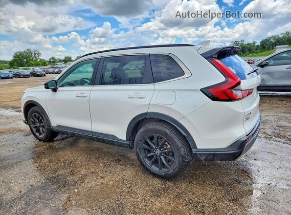 7FARS6H52PE004099 2023 HONDA CR-V White უკანა მარცხენა