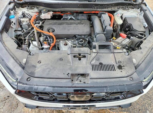 7FARS6H52PE004099 2023 HONDA CR-V White უკანა სალონის ხედი