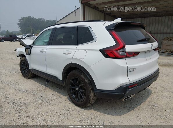 7FARS6H53PE033160 2023 HONDA CR-V White უკანა მარცხენა