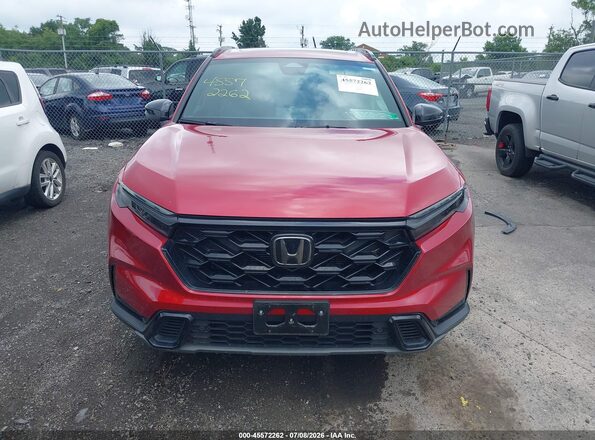 7FARS6H81SE039798 2025 HONDA CR-V Red Սալոնի հետևի տեսք