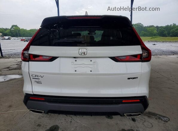 7FARS6H81SE047982 2025 HONDA CR-V White Հետևի տեսք