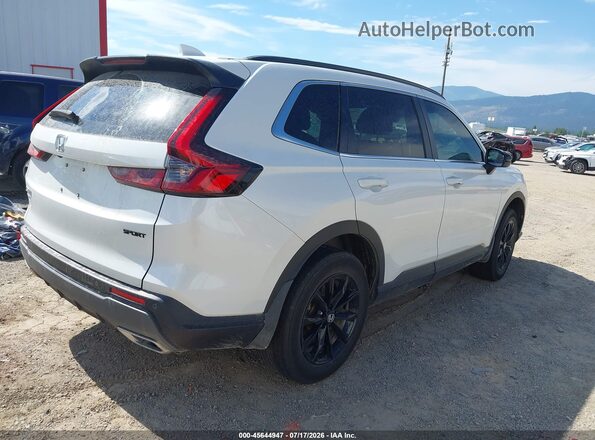7FARS6H83SE012215 2025 HONDA CR-V White უკანა მარჯვენა
