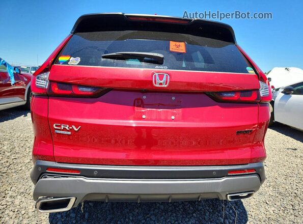 7FARS6H88RE078639 2024 HONDA CR-V Red უკანა ხედი