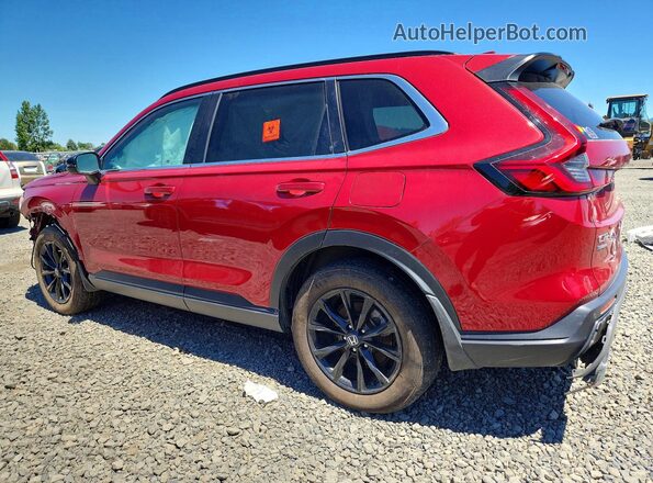 7FARS6H88RE078639 2024 HONDA CR-V Red უკანა მარცხენა