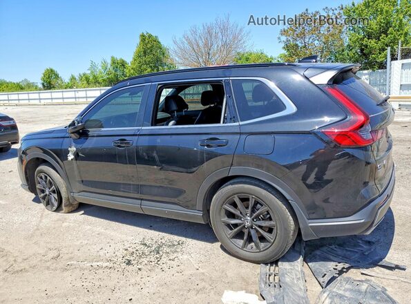 7FARS6H89RE043768 2024 HONDA CR-V Черный Задняя левая четверть
