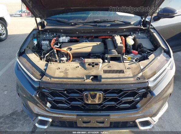 7FARS6H92PE021200 2023 HONDA CR-V Серый Вид сзади