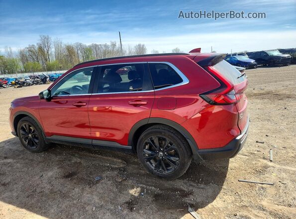 7FARS6H97RE036620 2024 HONDA CR-V Red Հետևի ձախ