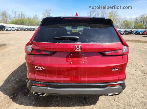 7FARS6H97RE036620 2024 HONDA CR-V Red Հետևի տեսք