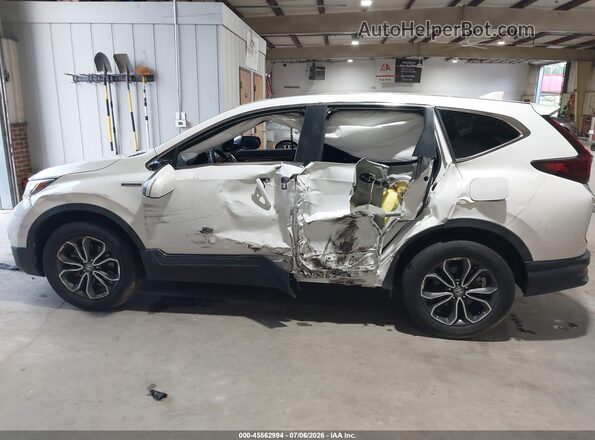 7FART6H52LE001887 2020 HONDA CR-V White Widok wnętrza 360 stopni