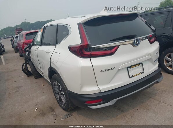 7FART6H58LE020055 2020 HONDA CR-V White Задня ліва чверть