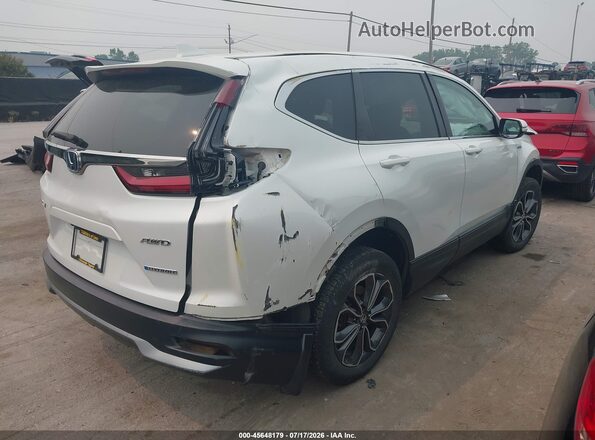 7FART6H58LE020055 2020 HONDA CR-V White Задня права чверть