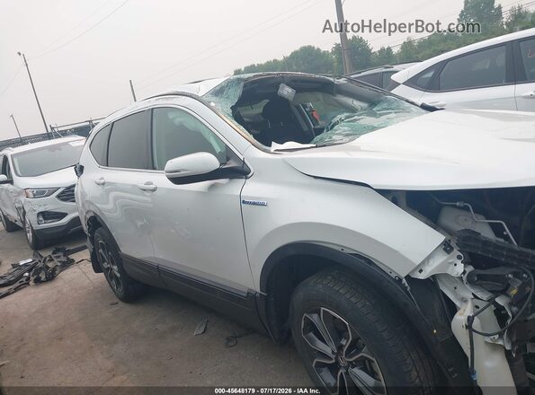 7FART6H58LE020055 2020 HONDA CR-V White Панорамний вид салону 360°