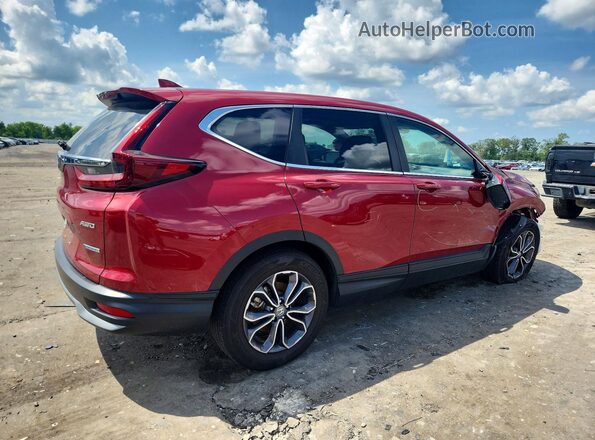 7FART6H59LE016239 2020 HONDA CR-V Red Tył prawy