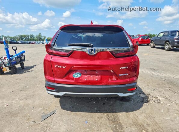 7FART6H59LE016239 2020 HONDA CR-V Red Widok z tyłu