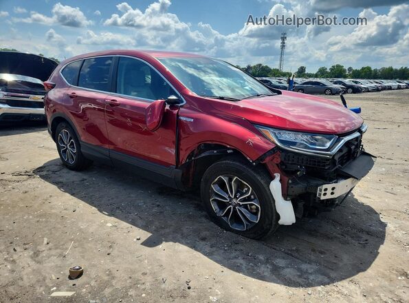 7FART6H59LE016239 2020 HONDA CR-V Red Przód prawy