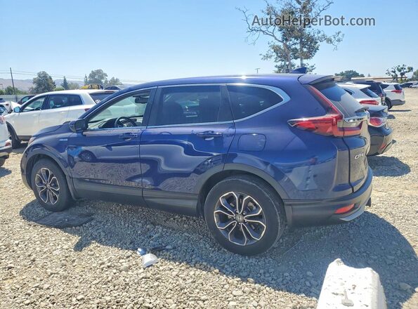 7FART6H84LE008446 2020 HONDA CR-V Blue Задня ліва чверть