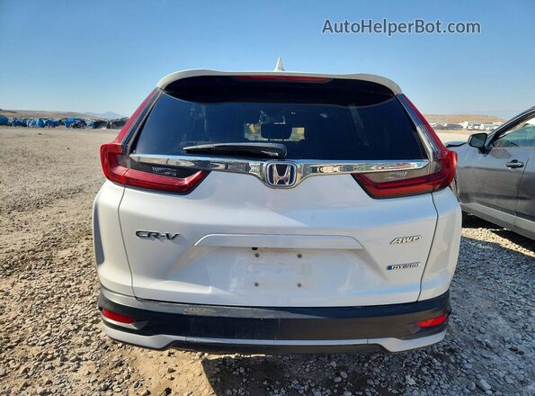 7FART6H86LE017407 2020 HONDA CR-V White Rear view