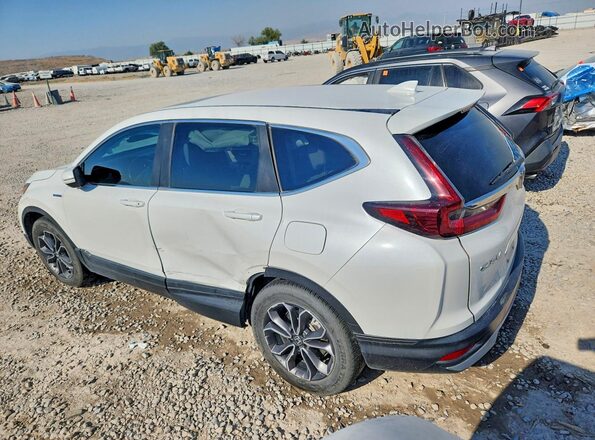 7FART6H86LE017407 2020 HONDA CR-V White Rear left