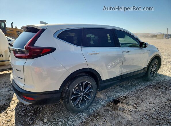 7FART6H86LE017407 2020 HONDA CR-V White Rear right