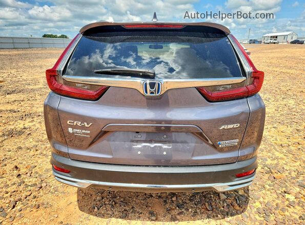 7FART6H94LE025059 2020 HONDA CR-V Серый Вид сзади