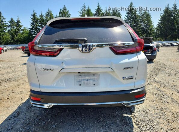 7FART6H9XLE019461 2020 HONDA CR-V White Հետևի տեսք