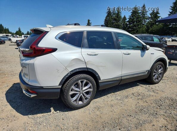 7FART6H9XLE019461 2020 HONDA CR-V White Հետևի աջ