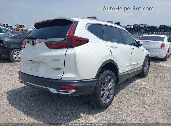 7FART6H9XLE026832 2020 HONDA CR-V Белый Задняя правая четверть