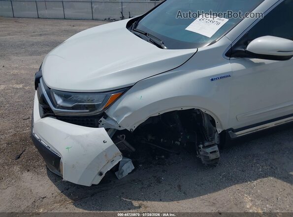 7FART6H9XLE026832 2020 HONDA CR-V Белый Вид спереди