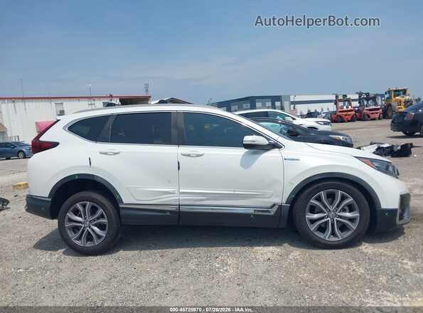7FART6H9XLE026832 2020 HONDA CR-V Белый Вид задней части салона
