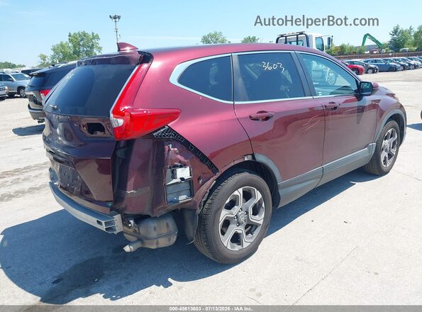 7FARW1H55KE024394 2019 HONDA CR-V Burgundy Tył prawy