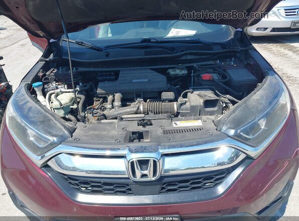 7FARW1H55KE024394 2019 HONDA CR-V Burgundy Widok z tyłu