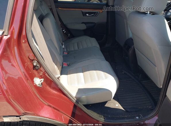 7FARW1H55KE024394 2019 HONDA CR-V Burgundy Widok naklejki z numerem VIN