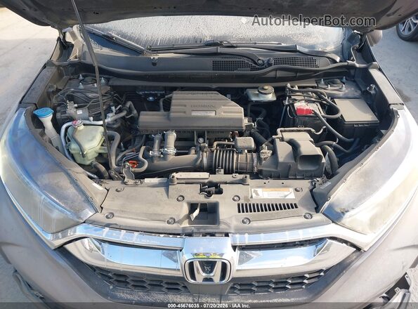 7FARW1H80HE008347 2017 HONDA CR-V Серый Вид сзади