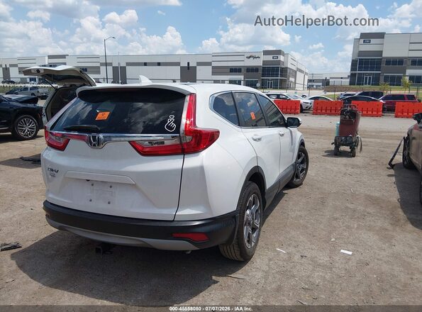 7FARW1H82KE031829 2019 HONDA CR-V White უკანა მარჯვენა