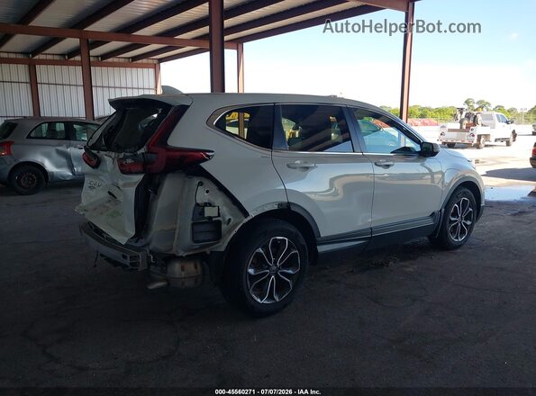 7FARW1H84LE026875 2020 HONDA CR-V White Rear right