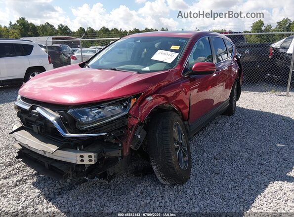 7FARW1H86LE008927 2020 HONDA CR-V Red Передня ліва чверть