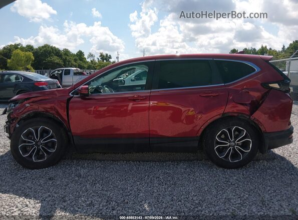 7FARW1H86LE008927 2020 HONDA CR-V Red Вид задньої частини салону