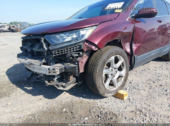 7FARW1H88HE040706 2017 HONDA CR-V Purple Դիմացի տեսք